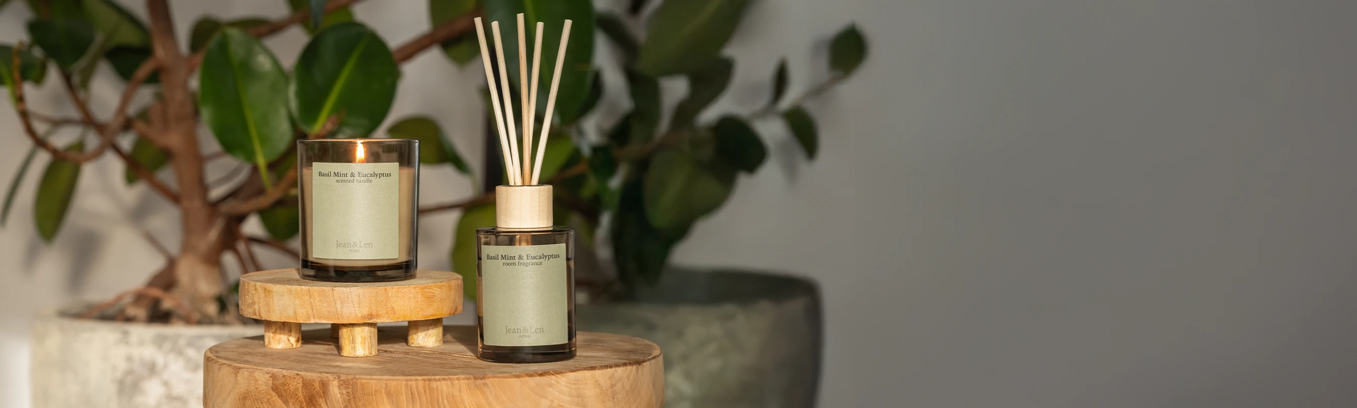 Duftkerze und Raumduft Basil Mint & Eucalyptus Duftkerze und Raumduft Basil Mint & Eucalyptus auf einem Holz-Beistelltisch mit Pflanzen im Hintergrund.
