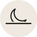 Icon Abendritual für regenerierte Haut