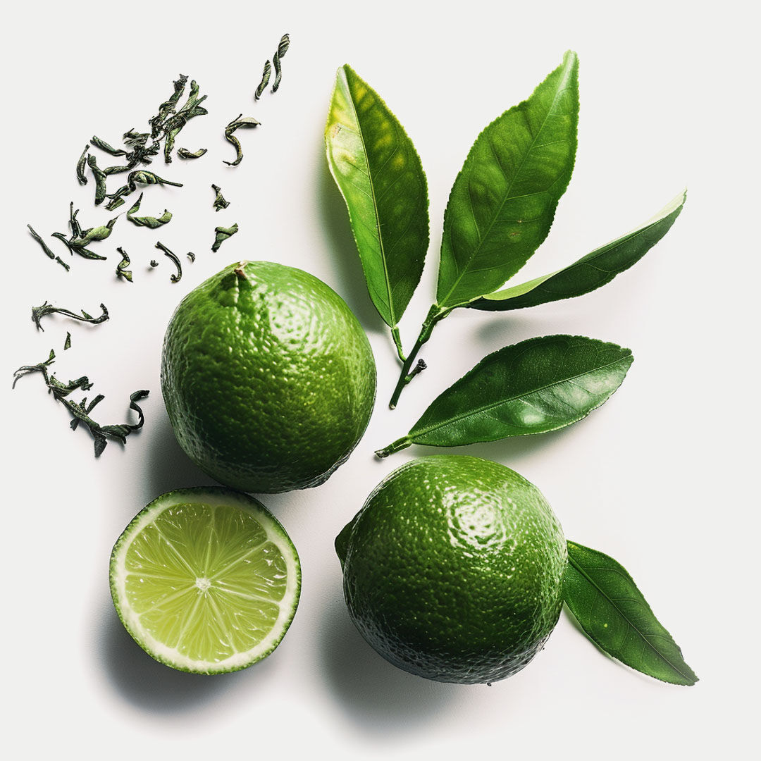 Limetten, frische und getrocknete Grünteeblätter auf weißem Untergrund.