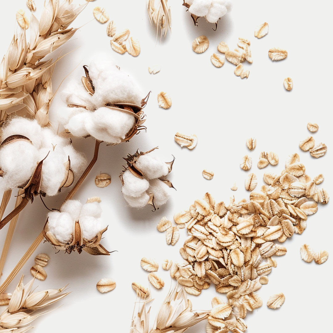 Baumwoll-Blüten und Haferflocken auf hellem Untergrund