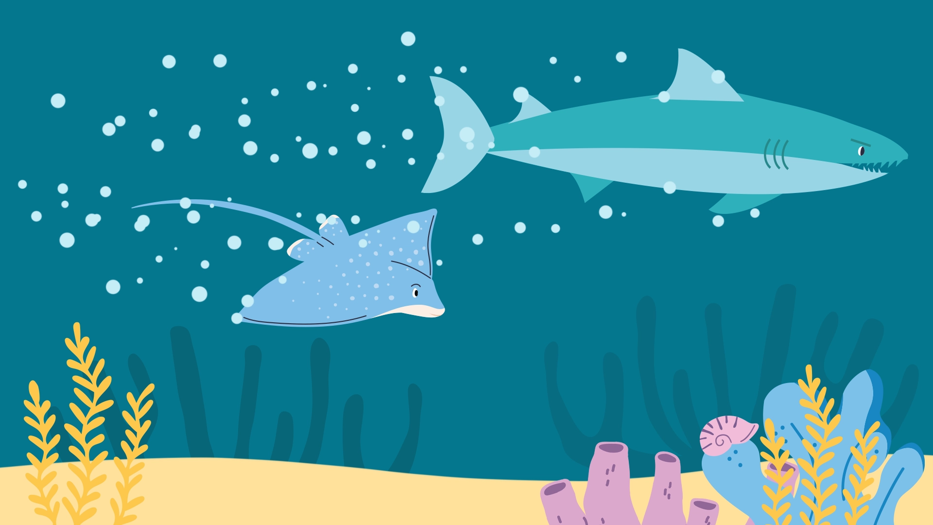 Illustration eines Rochens und Hais die um die Wette schwimmen.